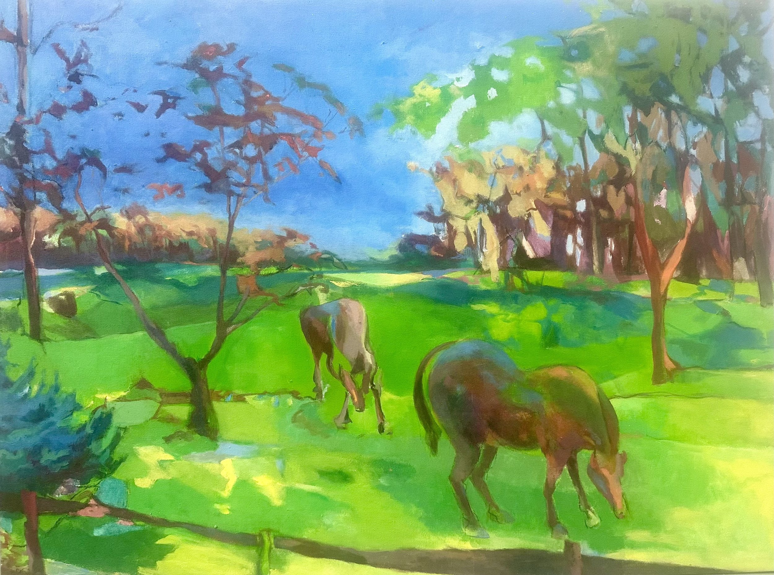 View — Susan Goetz Zwirn